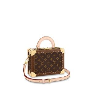 Louis Vuitton Brown and Gold Women's Bag
